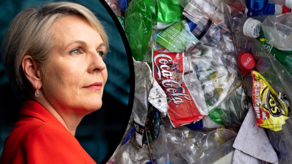 Environment Minister Tanya Plibersek is calling for a global treaty to cut plastic pollution. 