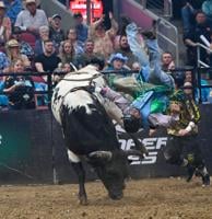 PHOTO GALLERY: 2024 Professional Bull Riders Unleash The Beast