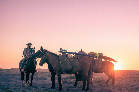 The intrepid travellers learned how to ride on the hoof.