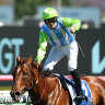 Jockey Tyler Schiller prepares to salute as Front Page takes out The Kosciuszko last year.