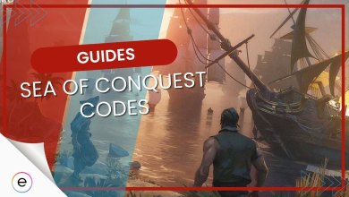 Sea Of Conquest Codes