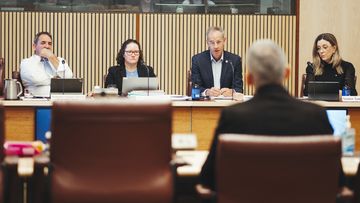 Senate Select Committee on Supermarket Prices. Senator Nick McKim questioning CEO of Woolworths Group CEO Mr Brad Banducci during the senate committee hearing, Tuesday 16th of April 2024.