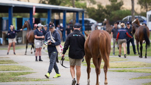 Race-by-race preview and tips for Tamworth on Friday