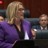 Treasurer Rita Saffioti gives her first budget speech.