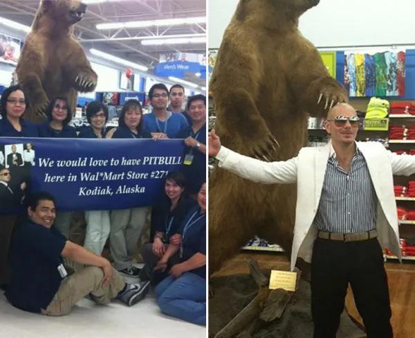 r/BeAmazed - At the time 4chan rigged a pit bull Walmart competition to Alaska and he still went