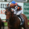 Magnaspin hits the front in The Coast at Newcastle on Saturday.