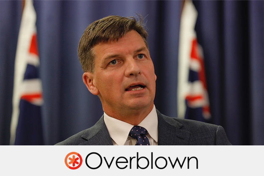 A tight headshot of angus taylor wearing a suit speaking in front of two Australian flags. Verdict: OVERBLOWN