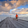 A man walks his dogs on the Shorncliffe Pier, part of the Moreton Bay Regional Council area and one of Greater Brisbane’s most tightly held suburbs.