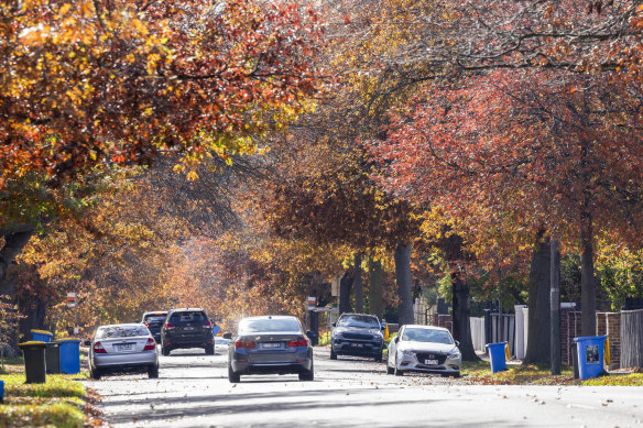 The autumn trees in Glen Iris.