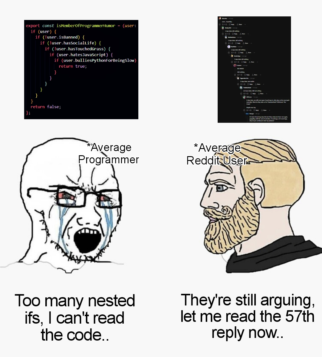 r/ProgrammerHumor - noComplaints