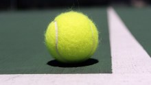 Who knew there was another crucial role for the humble tennis ball?