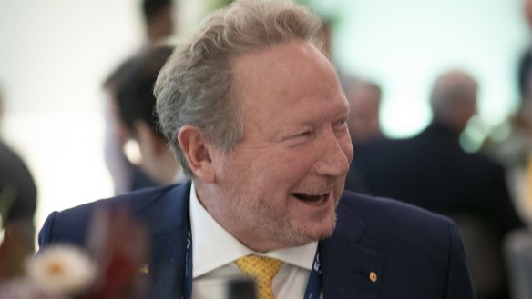 Andrew Forrest is delighted with the federal budget