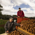 on Hill with his son Ryan Hill on their potato farm in Wildes Meadow in NSW. They will be participating in the Robertson Potato Festival.