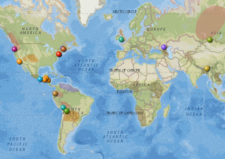 Exploring Endangered Languages