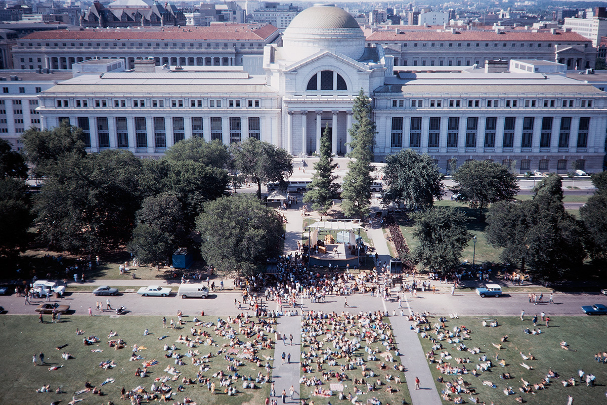 The Folklife Family Tree