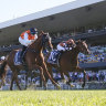 Ellsberg holds off Sibaaq on the outside in a driving finish to the inaugural running of the Five Diamonds at Rosehill.