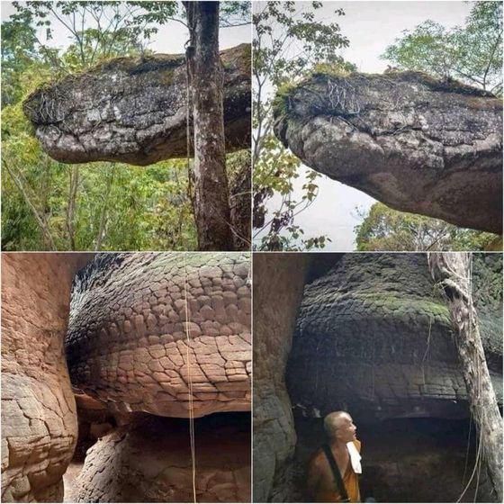 r/BeAmazed - This cave in Thailand resembles an enormous fossilized snake🐍
