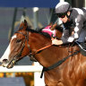 Josh Parr rides the Bjorn Baker-trained Disneck to victory at Rosehill on April 27.