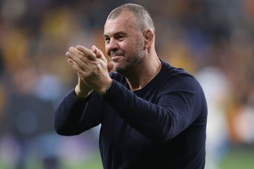 Pumas coach Michael Cheika at CommBank Stadium.