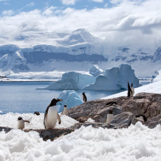 Antarctica and the Arctic are the glorious ends of the Earth.