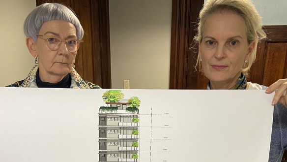 Valley residents Carol Calichet and Kelly Howard say a 16-story apartment proposal snubs Brisbane City Council’ town planning guidelines.