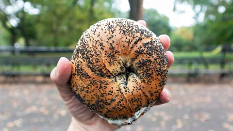 Bagel park NYC