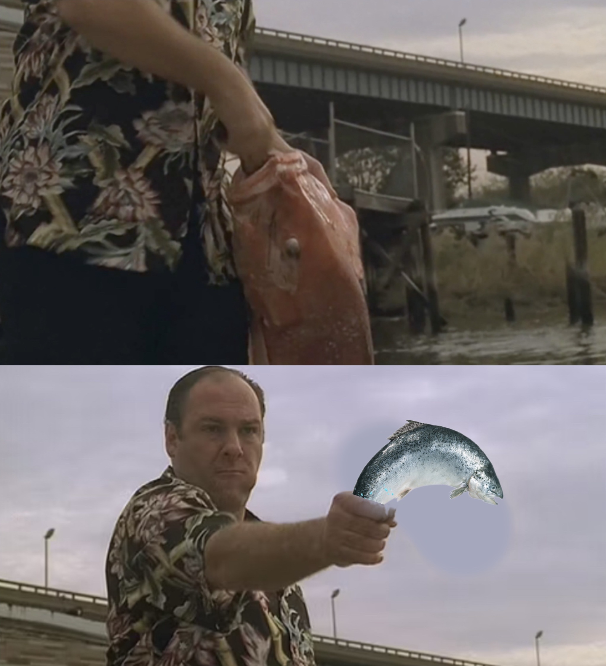 r/CirclejerkSopranos - When you mean to bring your gun-fish to work, but you accidentally bring your fish-fish: