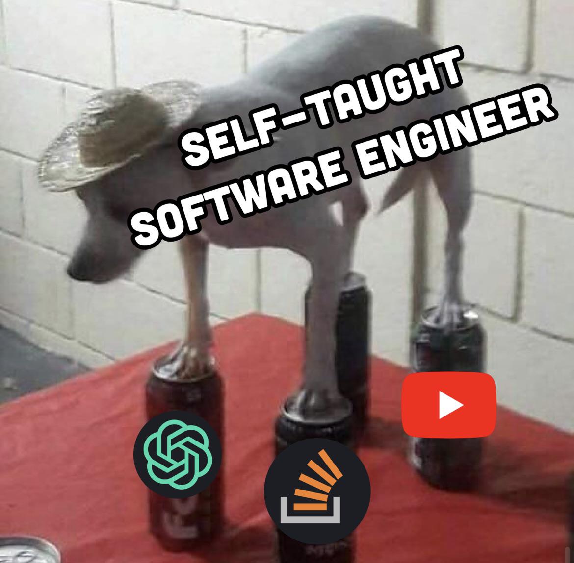 r/ProgrammerHumor - selfTaughtSoftwareEngineer