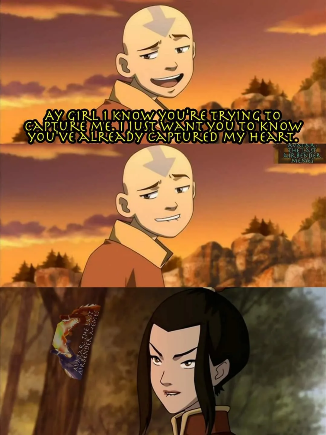 r/AvatarMemes - Capture the Avatar ❌ Capture his heart ✅