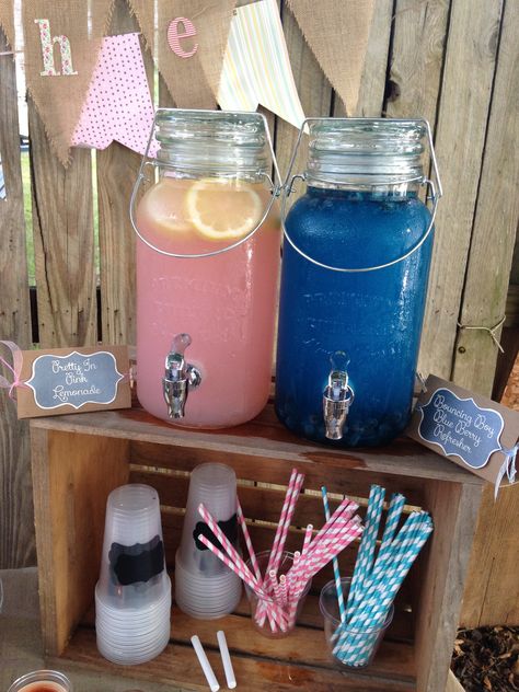 Gender Reveal Inspiration! www.dreamsindetail.com IG: @DREAMSINDETAIL_ Dreams In Detail travels worldwide to plan and design events. Contact 310-432-3290 or nicole@dreamsindetail.com #genderreveal #baby #ideas #surprise #decorations #themes #lemonade #blue #pink #inspiration #events #eventplanner Gender Reveal, Baby Gender Reveal Party Decorations, Gender Reveal Baby Shower Themes, Gender Reveal Shower, Baby Gender Reveal Party, Baby Shower Gender Reveal, Gender Reveal Themes, Gender Reveal Party Games, Gender Reveal Decorations