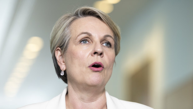 Deepfake porn could cause a generational back step in gender equality, says Plibersek