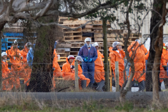 Workers prepare to kill the chickens near the town of Meredith.