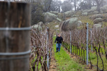 Winemaker Adam Foster at his vineyard at Tooborac in Victoria.