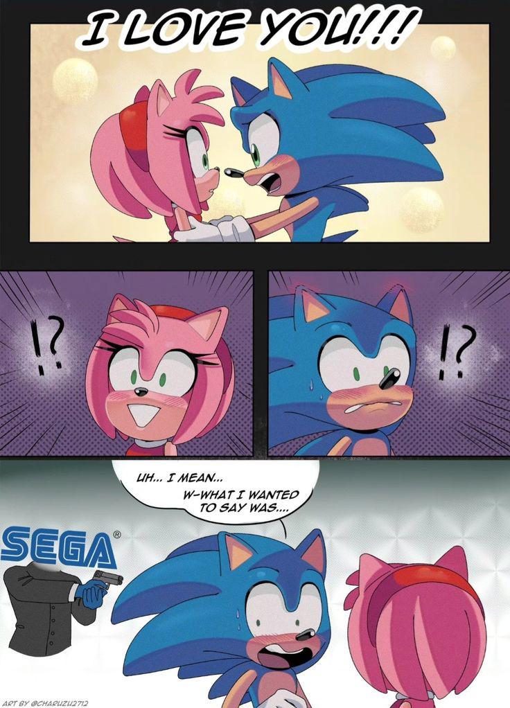 r/SonicTheHedgehog - Forbidden by Sega (by @Charuzu2712 on Twitter)