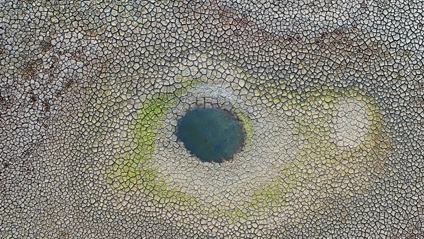 Drying wetlands viewed near Windsor in Sydney's north-west as temperature records melt.