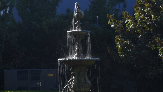 A fountain in Woollahra catches the early morning coolness.