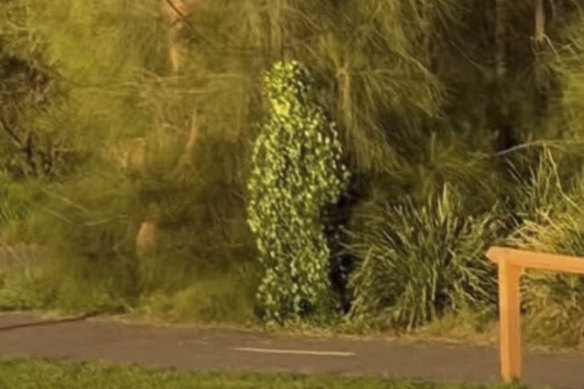 A man dressed in a ghillie suit hides in the bushes at the Bay Run on Friday.