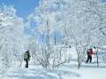 A snowshoe hike. Picture: Laura Waters