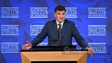 Shadow Treasurer Angus Taylor says the APS needs 'frugality'.