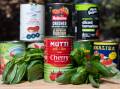 Ever wonder which is the best brand of tinned tomatoes? Us too. Picture by Elesa Kurtz