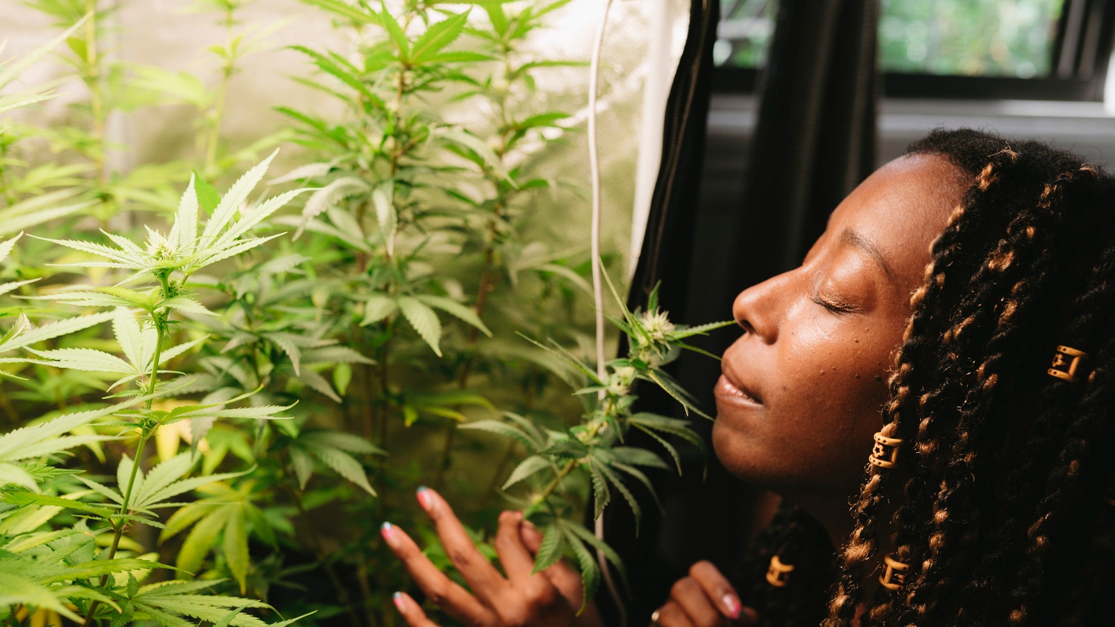 Solonje Burnett Is New York’s Queer Weed Auntie