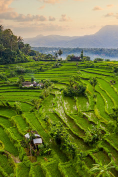 Canggu Bali