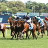 Racing returns to Taree on Monday.