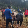 In this photo provides the International Organization for Migration, people cross over the landslide area to get to the other side in Yambali village, Papua New Guinea, Friday, May 24, 2024. More than 100 people are believed to have been killed in the landslide that buried a village and an emergency response is underway, officials in the South Pacific island nation said. The landslide struck Enga province, about 600 kilometers (370 miles) northwest of the capital, Port Moresby, at roughly 3 a.m., Australian Broadcasting Corp. reported. (Benjamin Sipa/International Organization for Migration via AP)