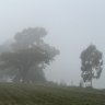 Brisbane River under fog