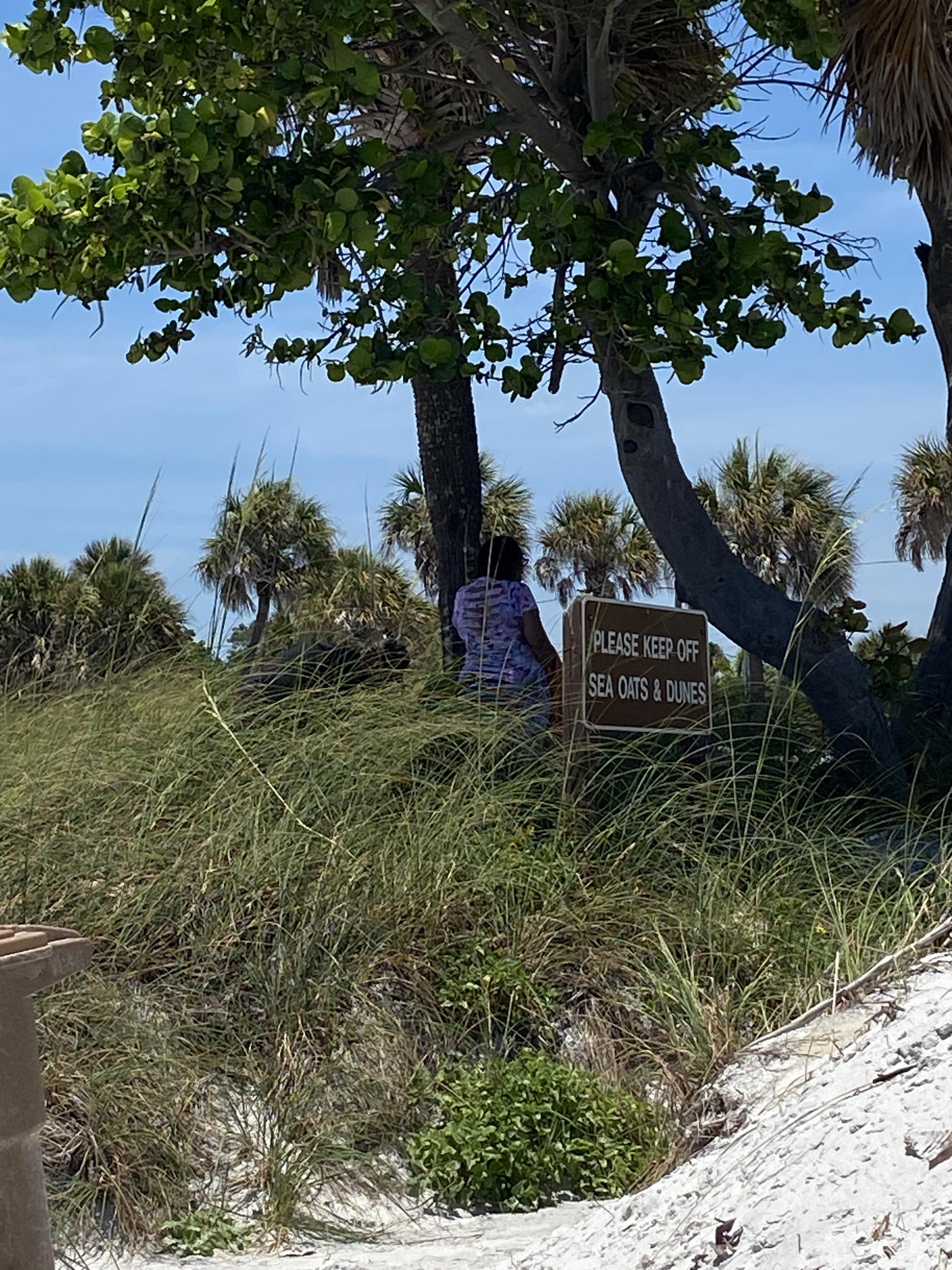 r/mildlyinfuriating - Tourists complete disrespect for the place they save all year to visit.