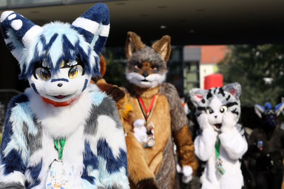 The number of “furries” attending Australia’s annual convention has soared over the past decade.