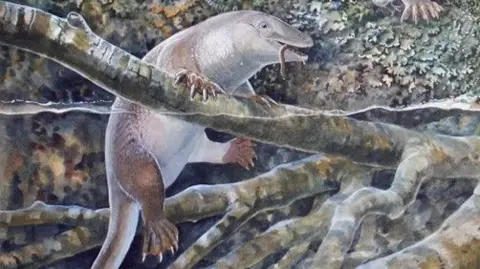 The 'echidnapus'