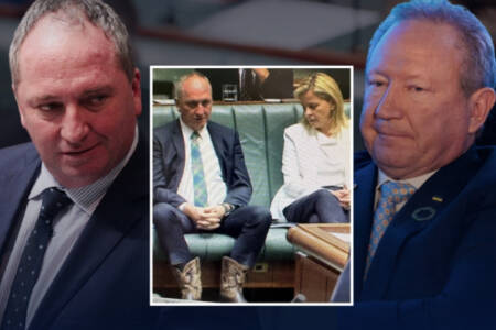 ‘Barnaby v Twiggy’ – Cowboy boots used in parliamentary protest