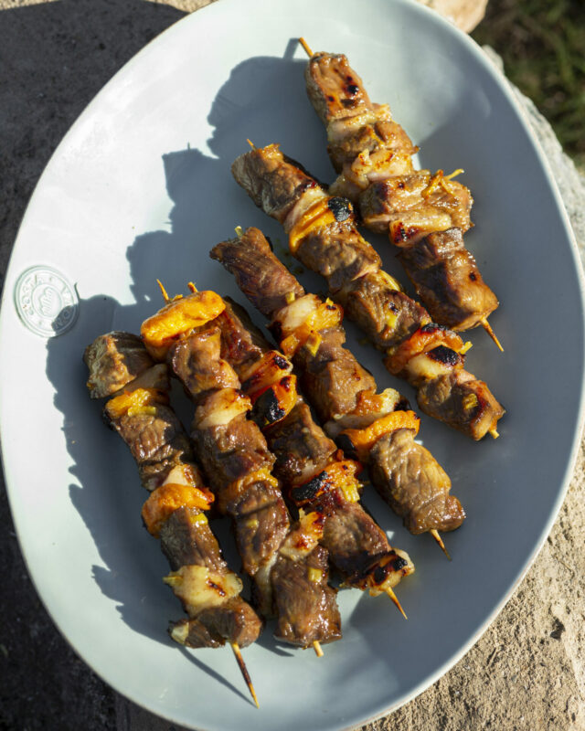 VENISON SOSATIES